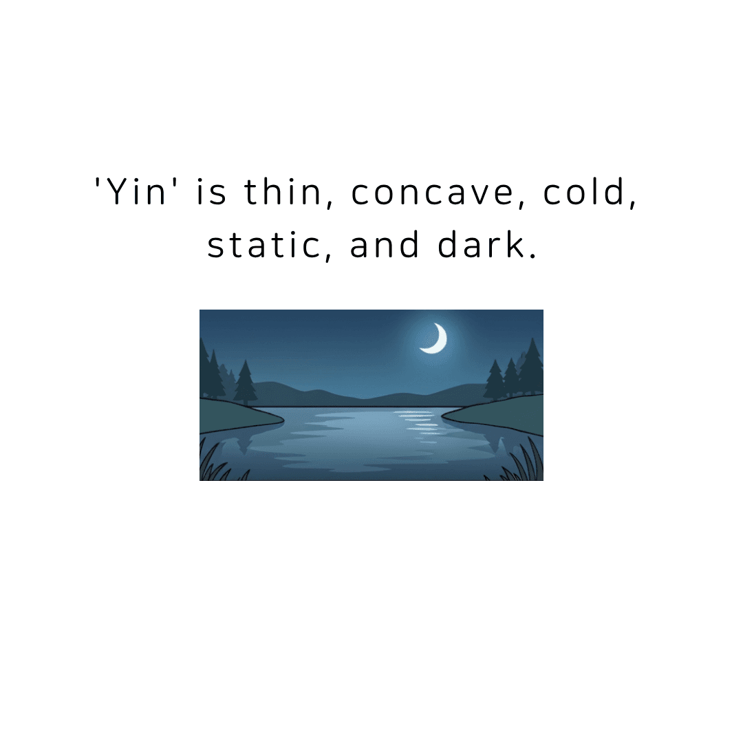 Yin is thin, concave, cold, static, and dark.
